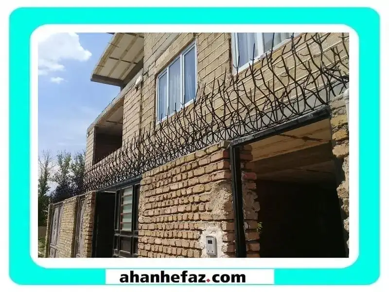 حفاظ شاخ گوزنی حفاظ حیاط